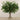 -Artificial Boxwood Arrangement in Glass Vase-Bloomr