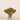 Floral Arrangement-Dipsacus Arrangement in Glass Vase-Bloomr