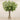 Floral Arrangement-Sorbus Arrangement in Glass Vase-Bloomr