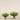 Floral Arrangement-Trifolium Angustifolium Arrangement in Glass Vase-Bloomr