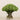 -Pin Cushion Arrangement in Glass Vase-Bloomr