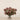 Floral Arrangement-Eryngo Arrangement in Glass Vase-Bloomr