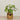 -Artificial Begonia Arrangement-Bloomr
