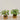 -Artificial Begonia Arrangement-Bloomr