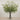 -Artificial Fern Arrangement in Glass Vase-Bloomr