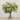 -Artificial Queen Anne's Lace Spray Arrangement in Glass Vase-Bloomr