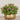 -Artificial Petunia Arrangement-Bloomr