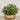 -Artificial Petunia Arrangement-Bloomr