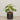 -Artificial Begonia Arrangement-Bloomr