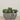 -Artificial Succulent Arrangement-Bloomr