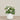 -Artificial Cabbage Rose Plant-Bloomr