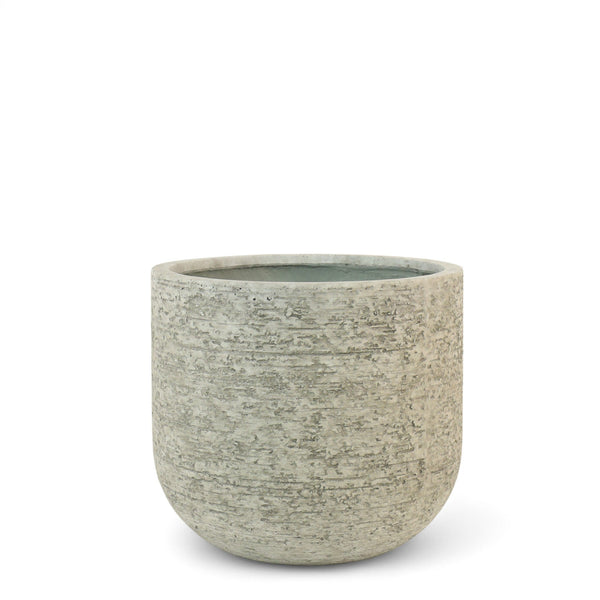 أصيص أشجار فيكونستون صغير دائري الشكل