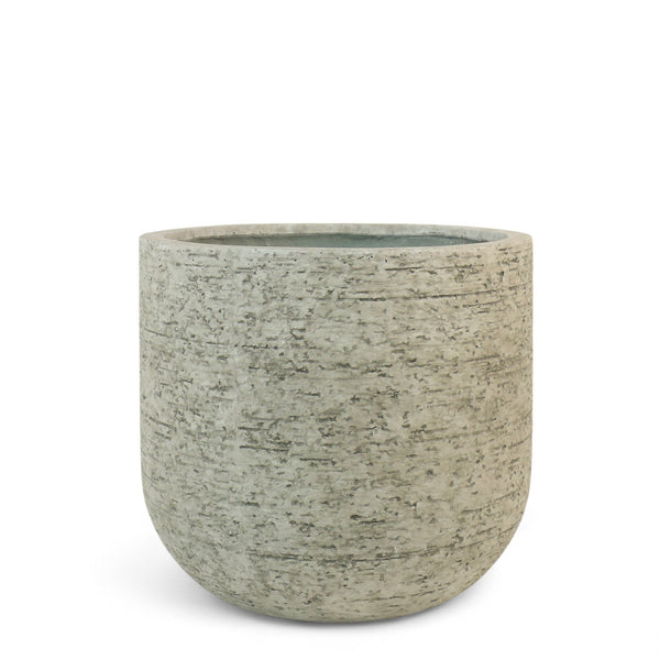 أصيص أشجار فيكونستون دائري متوسط الحجم