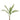 -Palm Spray-Bloomr