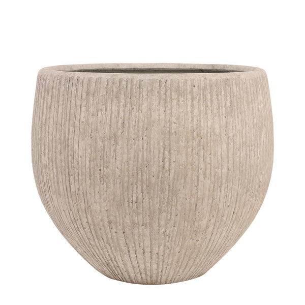 أصيص أشجار فيكونستون دائري كبير