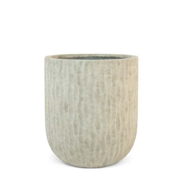 أصيص أشجار فيكونستون دائري صغير