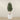 Trees-Artificial Olive Tree 210cm-Bloomr