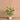 Trees-Artificial Areca Palm 90cm-Bloomr