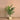 Trees-Artificial Areca Palm 120cm-Bloomr