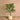 Trees-Artificial Areca Palm 140cm-Bloomr