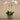 Flowers-Orchid Arrangement in Ceramic Vase (Discontinued)-Bloomr