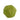 Fruits, Vegetables, Cakes & Bread-Cabbage-Bloomr