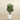 Trees-Artificial Aralia Tree <br> 120cm-Bloomr