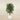 Trees-Artificial Coffee Tree 150cm-Bloomr