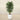 Trees-Artificial Coffee Tree 180cm-Bloomr