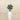 Trees-Artificial Jade Plant<br> 70cm-Bloomr