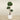 Trees-Artificial Panda Ficus Tree 180cm-Bloomr