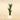 Trees-Artificial Yucca Plant 150cm-Bloomr