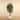 Trees-Artificial Shirakashi Tree <br>180cm-Bloomr