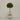 Desginers Collection-Artificial Laurel Tree with Pot-Bloomr