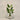 Desginers Collection-Artificial Travelers Palm with Pot-Bloomr