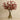 Floral Arrangement-Artificial Kangaroo Paw Arrangement-Bloomr