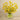 Floral Arrangement-Artificial Kangaroo Paw Arrangement-Bloomr
