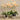 Flowers-Artificial Orchid Arrangement-Bloomr
