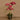 Flowers-Artificial Orchid Arrangement-Bloomr