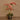 Flowers-Artificial Orchid Arrangement-Bloomr