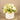 Floral Arrangement-Hydrangea & Rose Arrangement-Bloomr