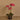 Flowers-Artificial Orchid Arrangement-Bloomr