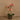 Flowers-Artificial Orchid Arrangement-Bloomr