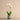 Flowers-Artificial Orchid Arrangement-Bloomr