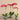 Flowers-Artificial Orchid Arrangement-Bloomr