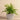 Greenery-Artificial Potted Fern-Bloomr