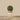 Greenery-Artificial Boxwood Ball-Bloomr