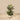 Plants-Artificial Maranta Plant 110cm-Bloomr