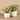 Greenery-Artificial Potted Silver Falls-Bloomr