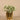 Greenery-Artificial Potted Silver Falls-Bloomr